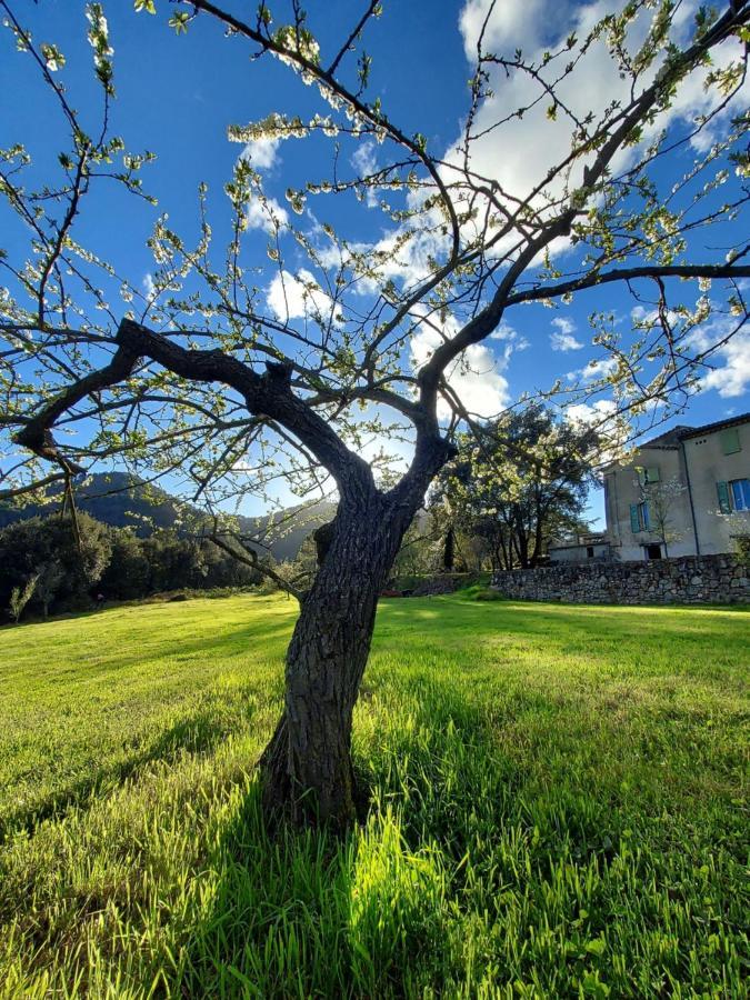 Les Jardins De Falguiere Saint-Jean-du-Gard Exteriér fotografie